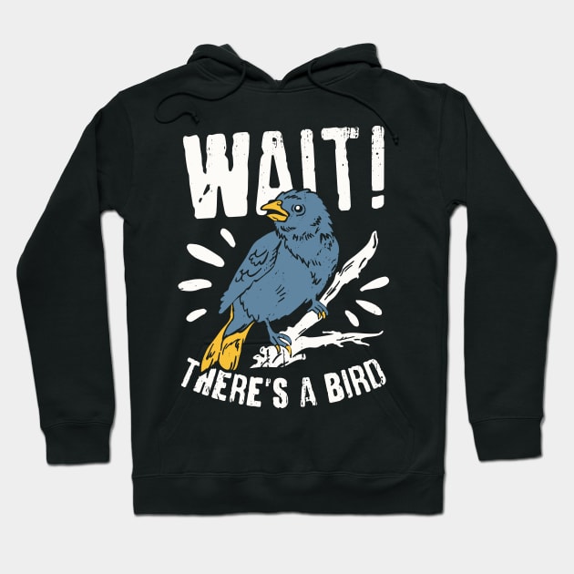 Birdwatching Birder Bird Watcher Gift Hoodie by Dolde08